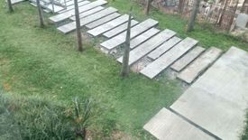 2 Bedroom Condo for sale in Kasara Urban Resort Residences, Ugong, Metro Manila