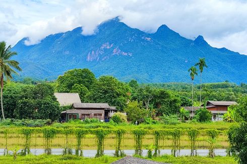 ขายที่ดิน ใน เชียงดาว, เชียงดาว