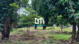 Land for sale in Pansol, Metro Manila