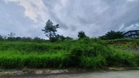 Land for sale in Santa Cruz, Rizal