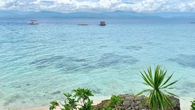 17 Bedroom Hotel / Resort for sale in Tunga, Cebu