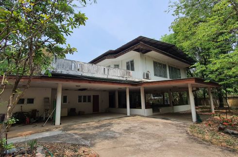 Land for sale in Pa Sak, Lamphun
