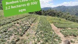 Land for sale in Bonbon, Cebu