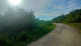 Land for sale in Malingin, Cebu