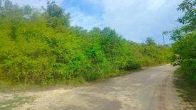 Land for sale in Malingin, Cebu