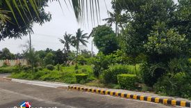 Land for sale in Mactan, Cebu