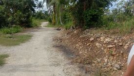 Land for sale in Tapon, Cebu
