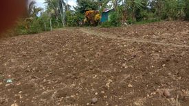 Land for sale in Tapon, Cebu