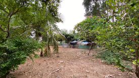 Land for sale in Nam Phrae, Chiang Mai