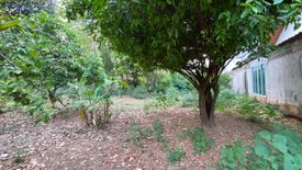 Land for sale in Nam Phrae, Chiang Mai