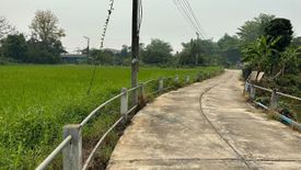 Land for sale in Pa Pong, Chiang Mai