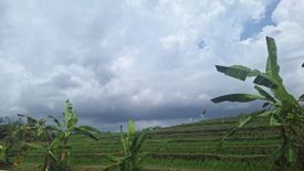 Tanah dijual dengan  di Canggu, Bali
