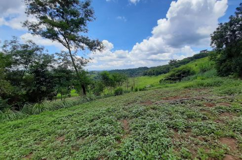 Land for sale in Cuyambay, Rizal