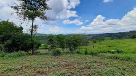 Land for sale in Cuyambay, Rizal