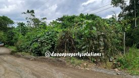 Land for sale in Indangan, Davao del Sur