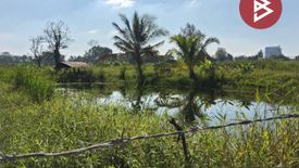 Land for sale in Makluea Mai, Nakhon Ratchasima