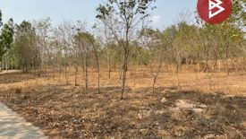 Land for sale in Nong Phai, Uthai Thani