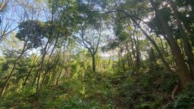 Land for sale in Karon, Phuket