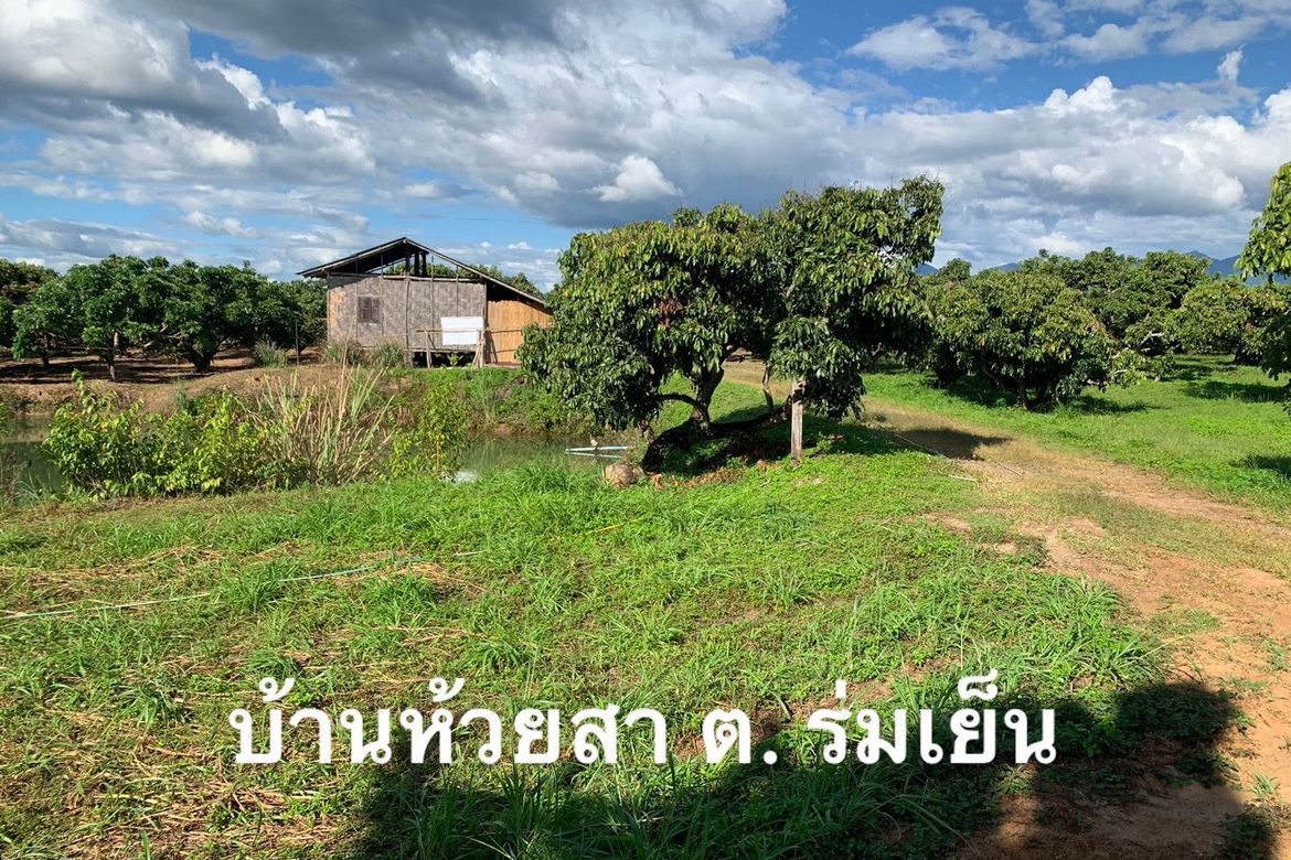 ขายที่ดินพร้อมสวนลำใย 12 ไร่ 3 งาน 20 ตรว. 📌 Land for sale in Phayao