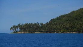 Land for sale in Panitian, Palawan