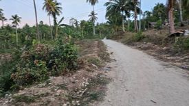 Land for sale in Matalao, Cebu