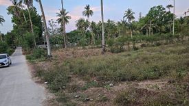 Land for sale in Matalao, Cebu
