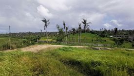 Land for sale in Tawin-Tawin, Surigao del Norte