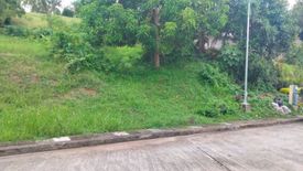 Land for sale in Balaytigui, Batangas
