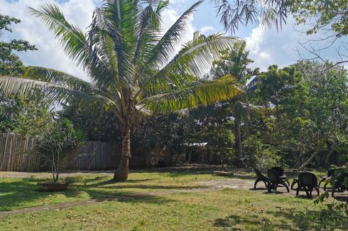 Land for sale in Tawala, Bohol