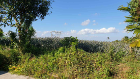 Land for sale in Tubuan II, Cavite