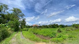 Land for sale in Pa Pong, Chiang Mai