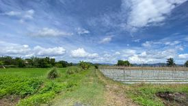 Land for sale in Pa Pong, Chiang Mai