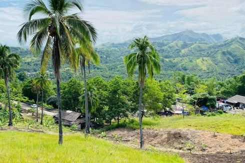 Land for sale in Poblacion, Agusan del Norte
