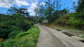 Land for sale in Puguis, Benguet