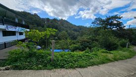 Land for sale in Puguis, Benguet