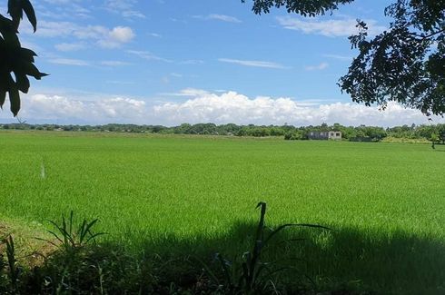 Land for sale in Bulihan, Bulacan