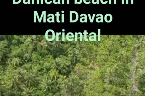 Land for sale in Dahican, Davao Oriental