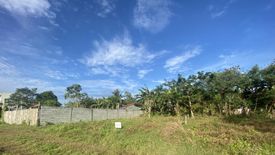 Land for sale in Pamuringao Proper, Iloilo