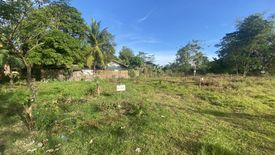 Land for sale in Pamuringao Proper, Iloilo