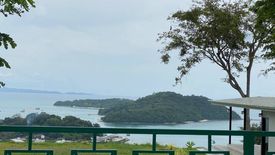 Land for sale in Wichit, Phuket