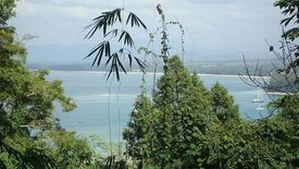 Land for sale in Wichit, Phuket