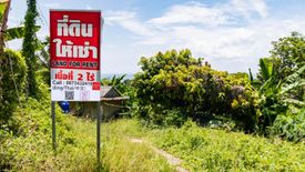 Land for rent in Karon, Phuket