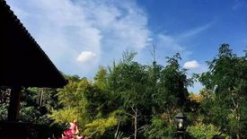 6 Bedroom House for Sale or Rent in Nam Phrae, Chiang Mai