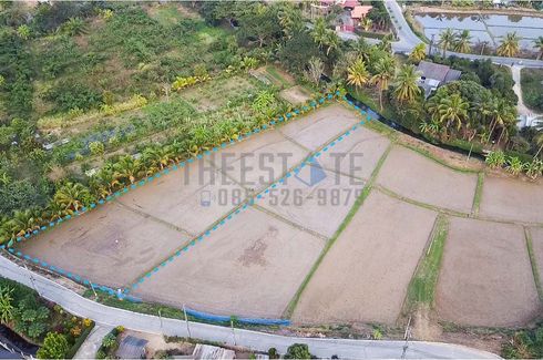 Land for sale in Luang Nuea, Chiang Mai