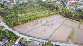 Land for sale in Luang Nuea, Chiang Mai