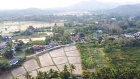 Land for sale in Luang Nuea, Chiang Mai