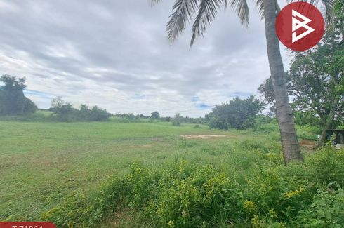 Land for sale in Nong Bua, Chainat