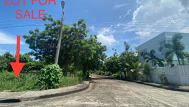 Land for sale in Mactan, Cebu