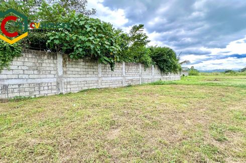 Land for rent in Anupul, Tarlac