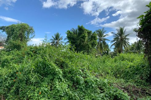 Land for sale in Palinpinon, Negros Oriental